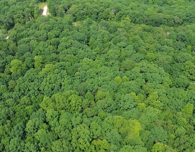 0 Owl Cir, Hurricane Mills, TN 37078 - photo 6