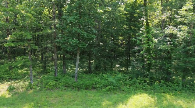 0 Owl Cir, Hurricane Mills, TN 37078 - photo 14