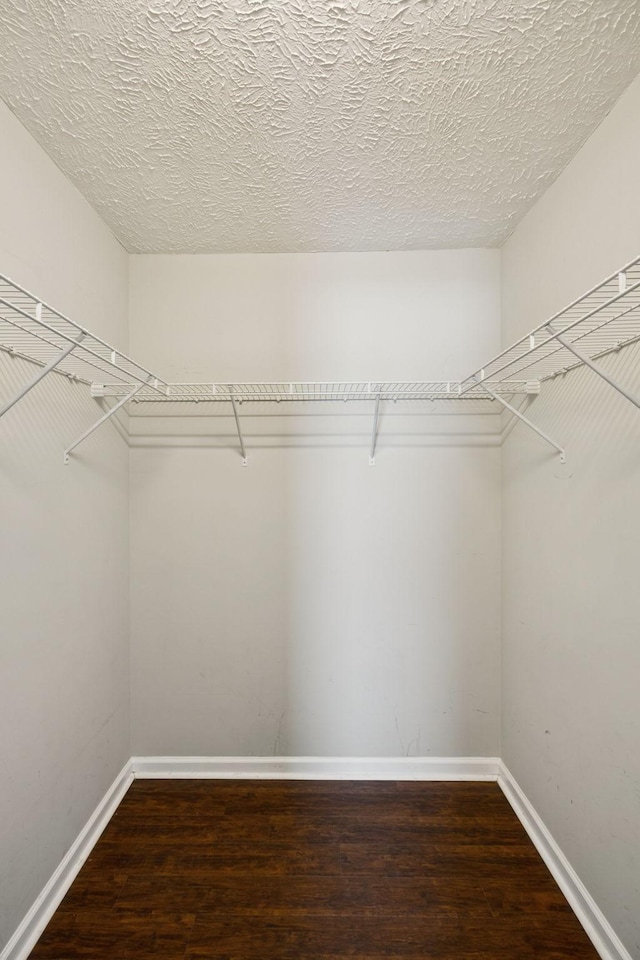 1006 Aretha Dr, Murfreesboro, TN 37128 - walk in closet with wood finished floors
