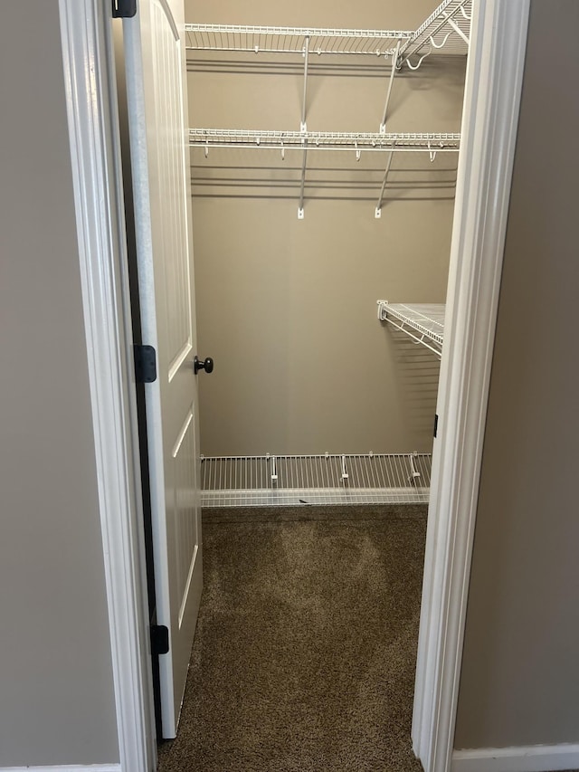1370 Millet Dr, Clarksville, TN 37040 - walk in closet featuring carpet floors
