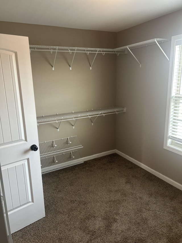 1370 Millet Dr, Clarksville, TN 37040 - spacious closet with carpet floors