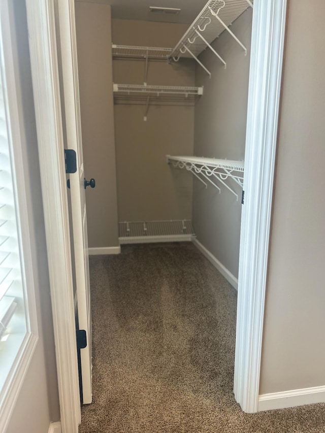 1370 Millet Dr, Clarksville, TN 37040 - walk in closet featuring carpet flooring