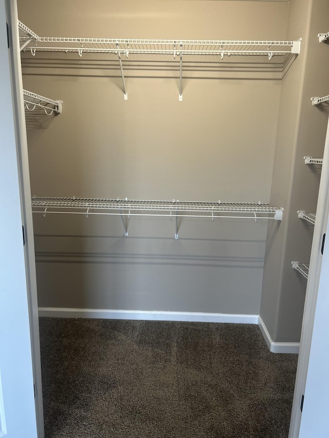 1370 Millet Dr, Clarksville, TN 37040 - spacious closet featuring carpet