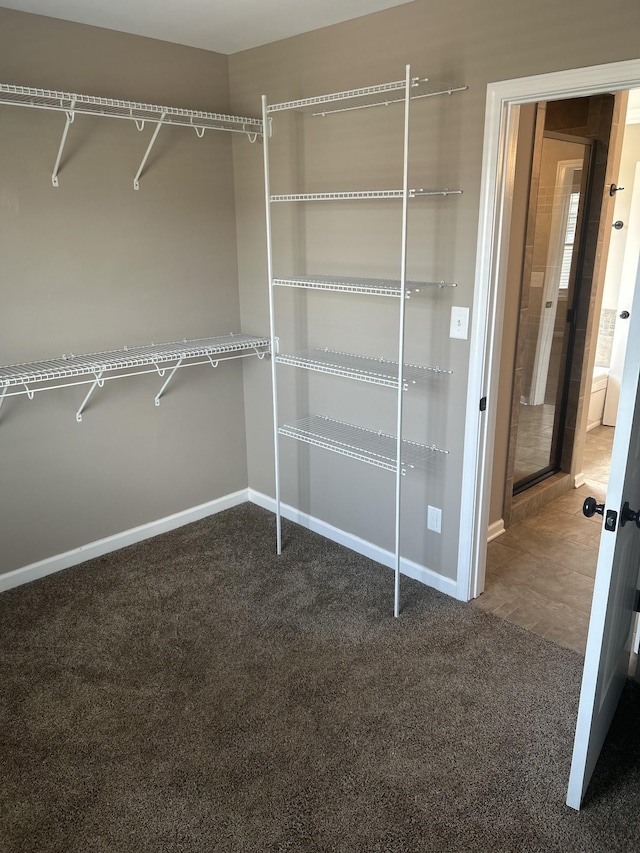 1370 Millet Dr, Clarksville, TN 37040 - walk in closet featuring carpet