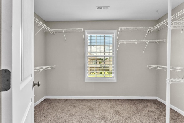 1370 Millet Dr, Clarksville, TN 37040 - photo 31