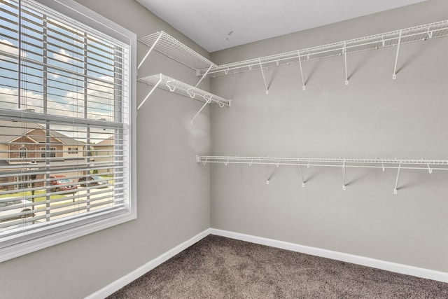 1370 Millet Dr, Clarksville, TN 37040 - photo 30