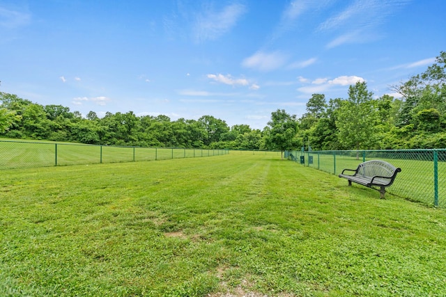 3368 Vinemont Dr, Thompsons Station, TN 37179 - view of yard