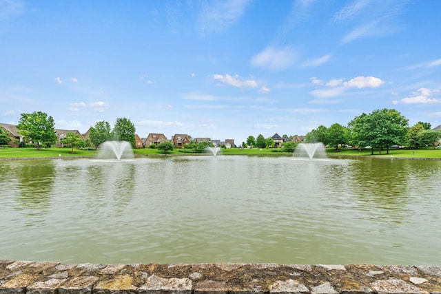 3368 Vinemont Dr, Thompsons Station, TN 37179 - water view