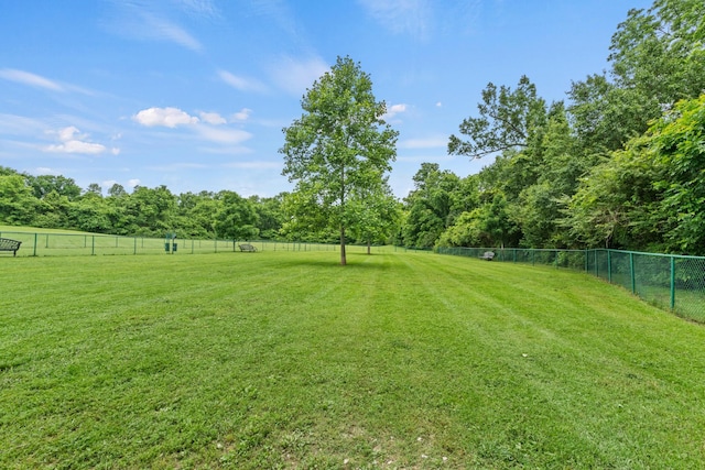 3368 Vinemont Dr, Thompsons Station, TN 37179 - view of yard