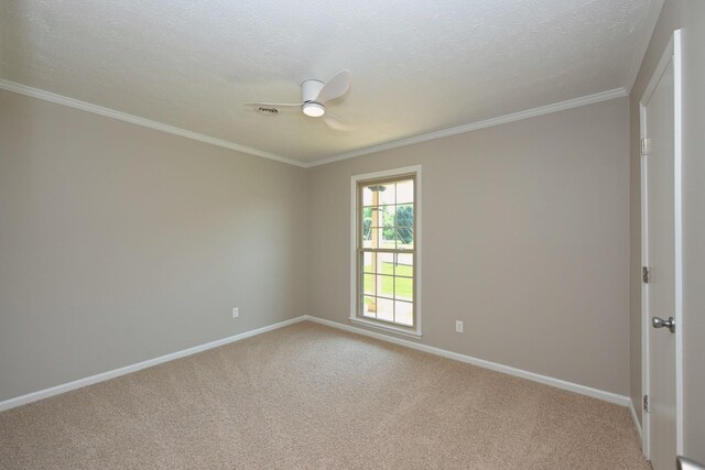 102 Ash Ct, Ashland City, TN 37015 - photo 25