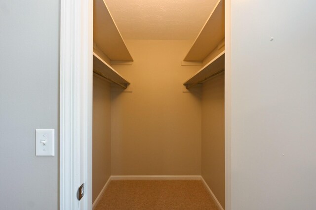102 Ash Ct, Ashland City, TN 37015 - photo 20