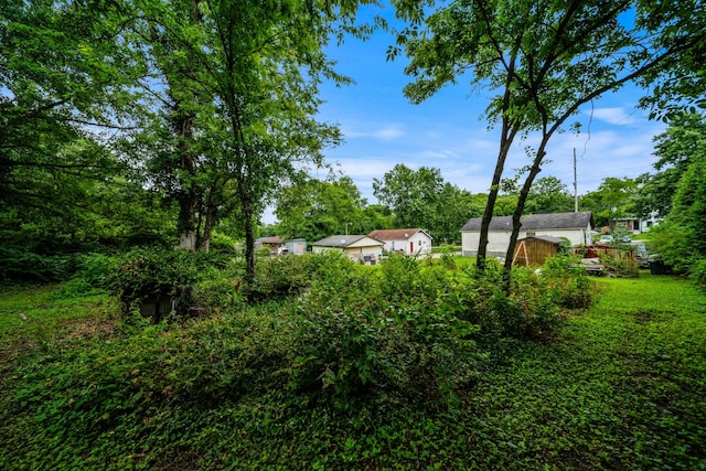 3846 Saunders Ave, Nashville, TN 37216 - view of yard