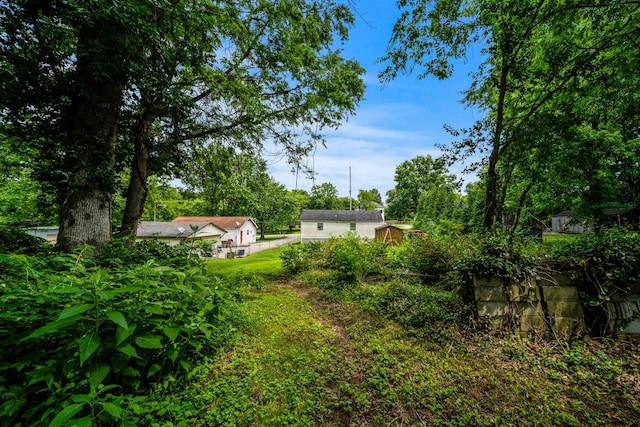 3846 Saunders Ave, Nashville, TN 37216 - view of yard