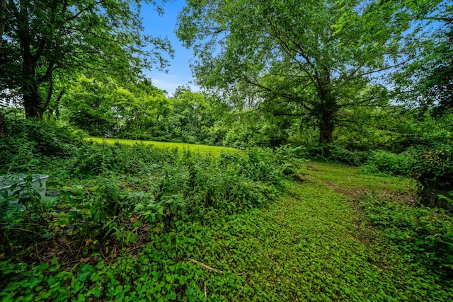 3846 Saunders Ave, Nashville, TN 37216 - view of wooded area