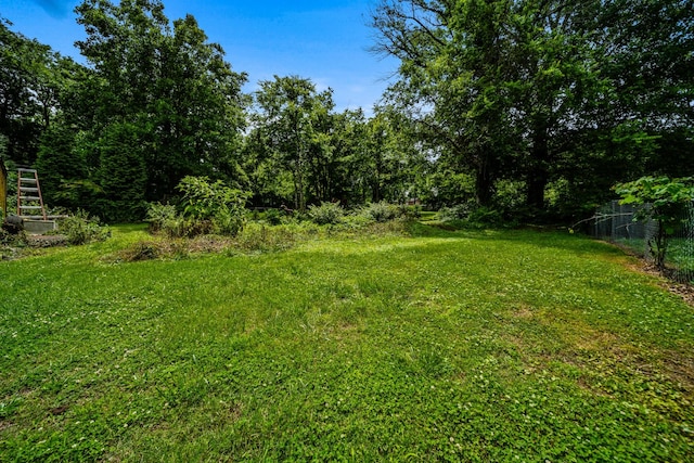 3846 Saunders Ave, Nashville, TN 37216 - view of yard