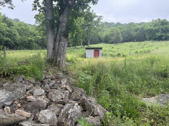 147 Sloan Branch Rd, Pleasant Shade, TN 37145 - photo 13