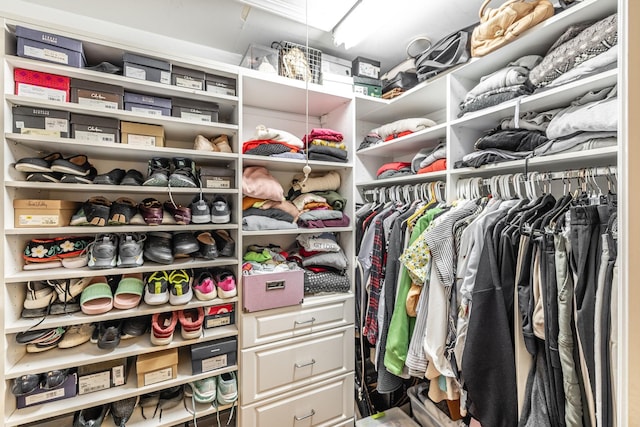 1234 Windsor Dr, Gallatin, TN 37066 - view of walk in closet