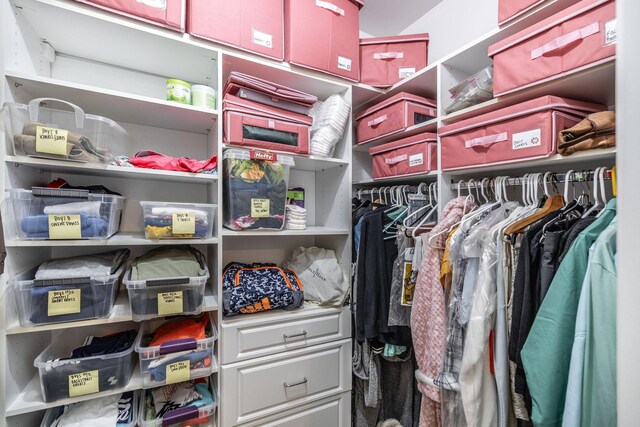 1234 Windsor Dr, Gallatin, TN 37066 - view of spacious closet