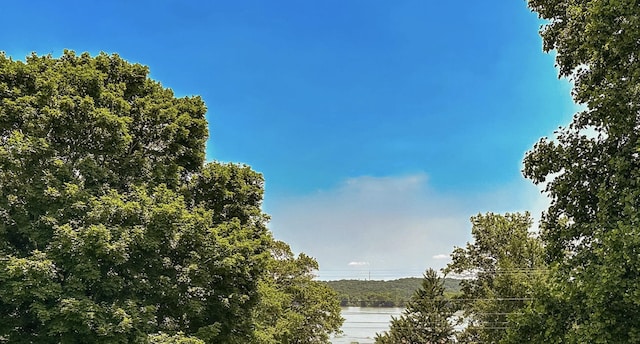 1234 Windsor Dr, Gallatin, TN 37066 - water view
