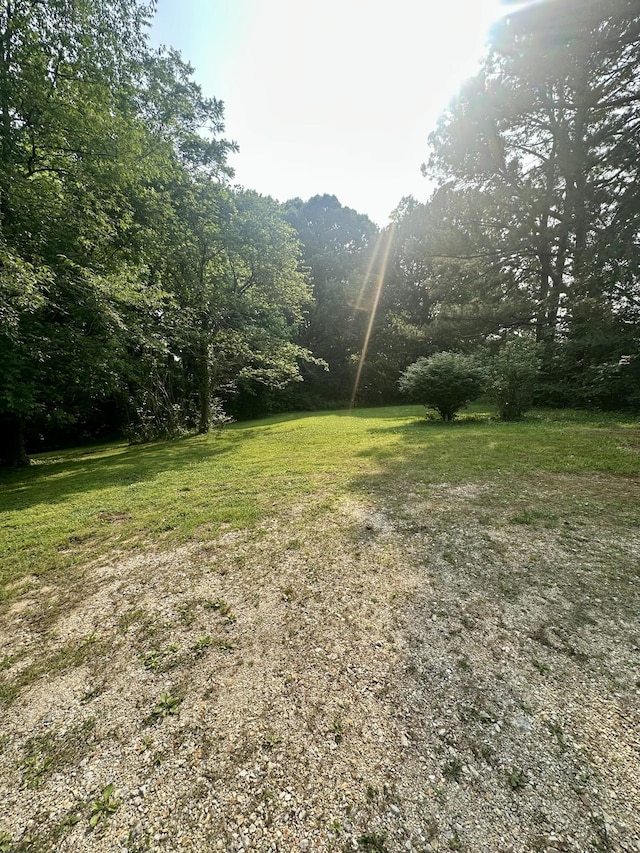 130 Post Oak Ave, Camden, TN 38320 - view of green lawn