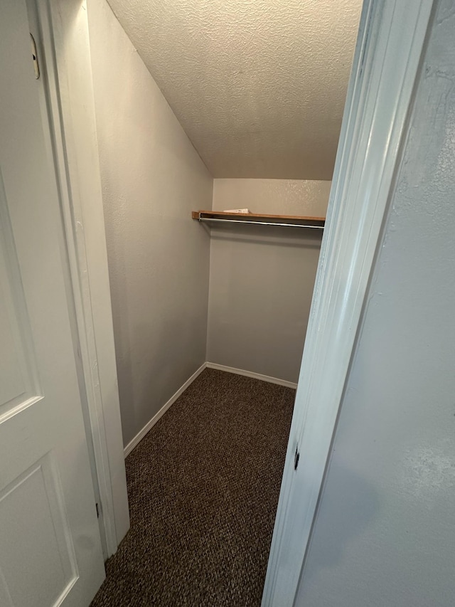 130 Post Oak Ave, Camden, TN 38320 - walk in closet with carpet flooring