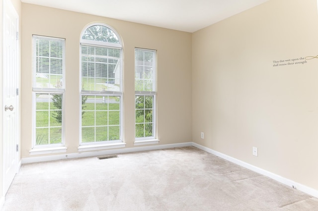 1036 Woodbrier Ln, Greenbrier, TN 37073 - carpeted empty room with plenty of natural light and baseboards