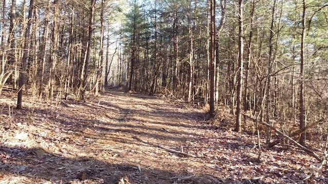 202122 Camp Creek Rd, Spencer, TN 38585