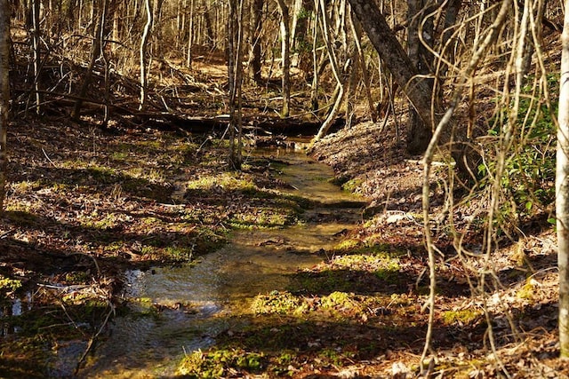 202122 Camp Creek Rd, Spencer, TN 38585