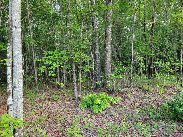202122 Camp Creek Rd, Spencer, TN 38585