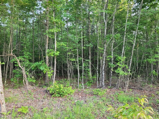 202122 Camp Creek Rd, Spencer, TN 38585