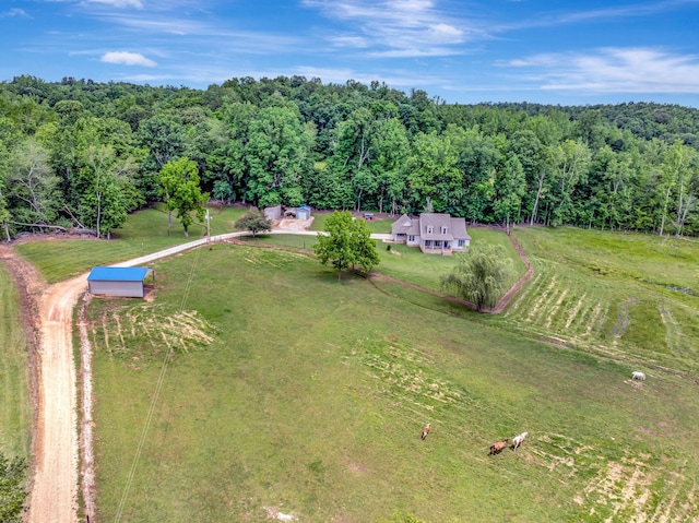 80 Latimer Cemetery Ln, Waverly, TN 37185 - aerial view of sparsely populated area with a forest