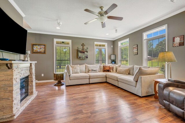 80 Latimer Cemetery Ln, Waverly, TN 37185 - living room with ornamental molding, wood finished floors, plenty of natural light, a ceiling fan, and a fireplace
