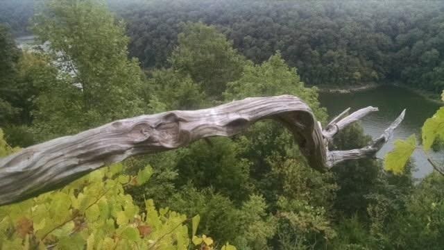0 Cedar Creek Rd, Sparta, TN 38583 - photo 2