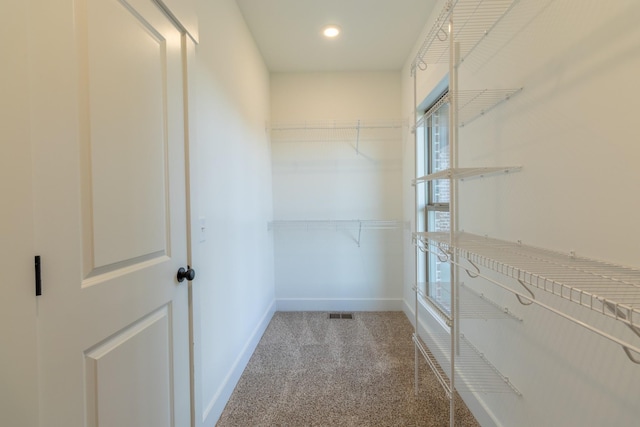 5359 Roy Holman Rd, Springfield, TN 37172 - spacious closet with carpet flooring