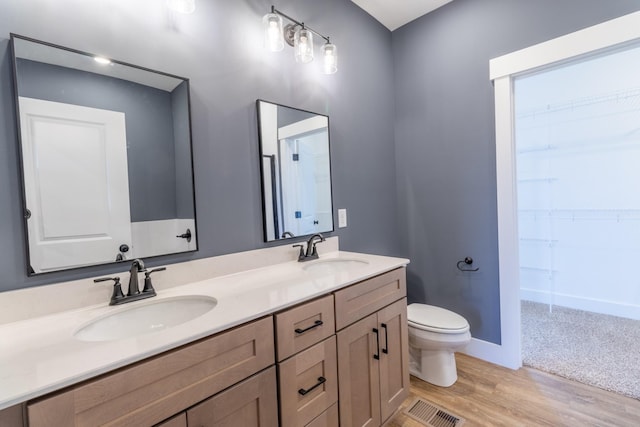 5359 Roy Holman Rd, Springfield, TN 37172 - bathroom with double vanity, toilet, wood finished floors, a spacious closet, and baseboards