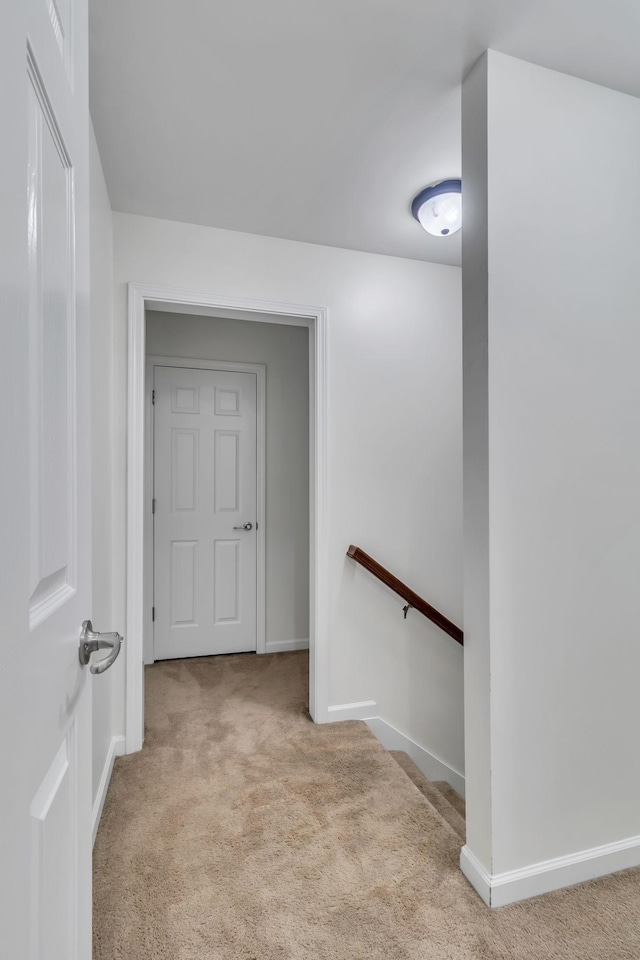 2136 Cason Ln, Murfreesboro, TN 37128 - photo 28
