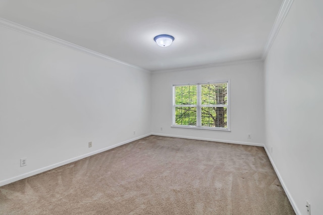 2136 Cason Ln, Murfreesboro, TN 37128 - photo 21