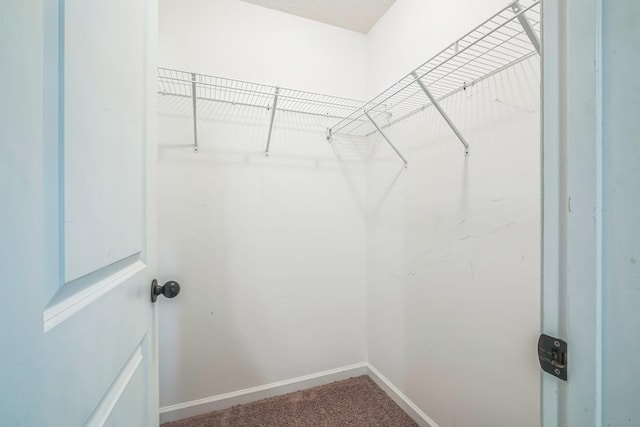 1435 Silver Creek Rd, Lewisburg, TN 37091 - spacious closet featuring carpet flooring