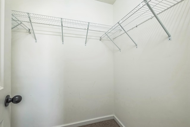 1435 Silver Creek Rd, Lewisburg, TN 37091 - view of walk in closet