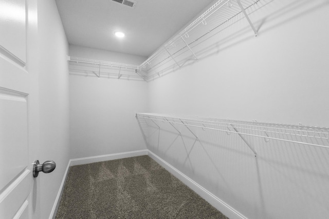 1013 Cherry Acres Dr, Clarksville, TN 37042 - spacious closet featuring carpet floors
