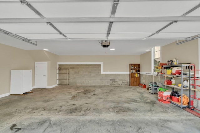 1006 Twilight Dr, Castalian Springs, TN 37031 - garage with a garage door opener