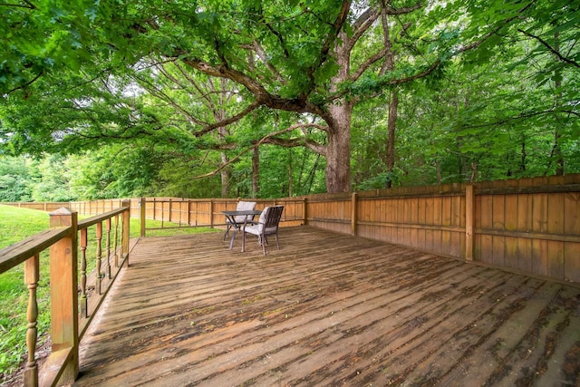 211 Blossom Ct, White House, TN 37188 - photo 49