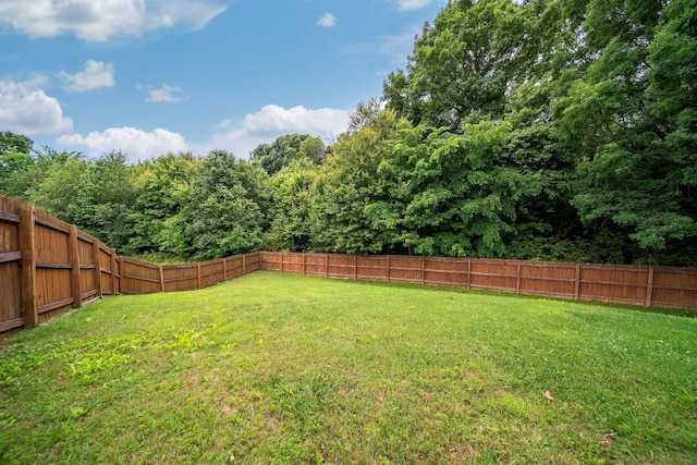 211 Blossom Ct, White House, TN 37188 - photo 40
