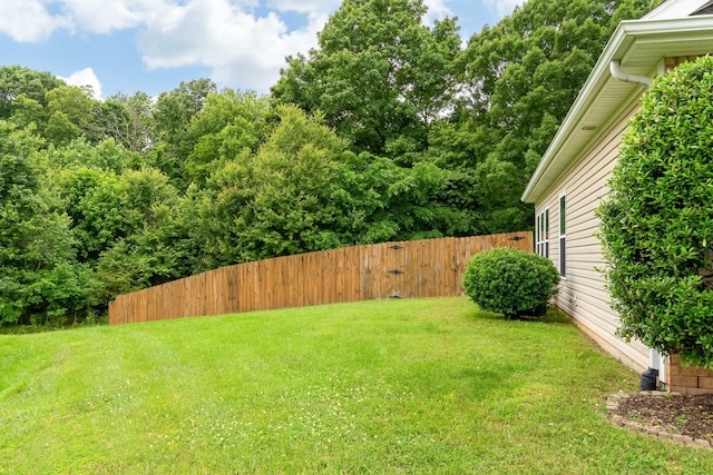 211 Blossom Ct, White House, TN 37188 - photo 4