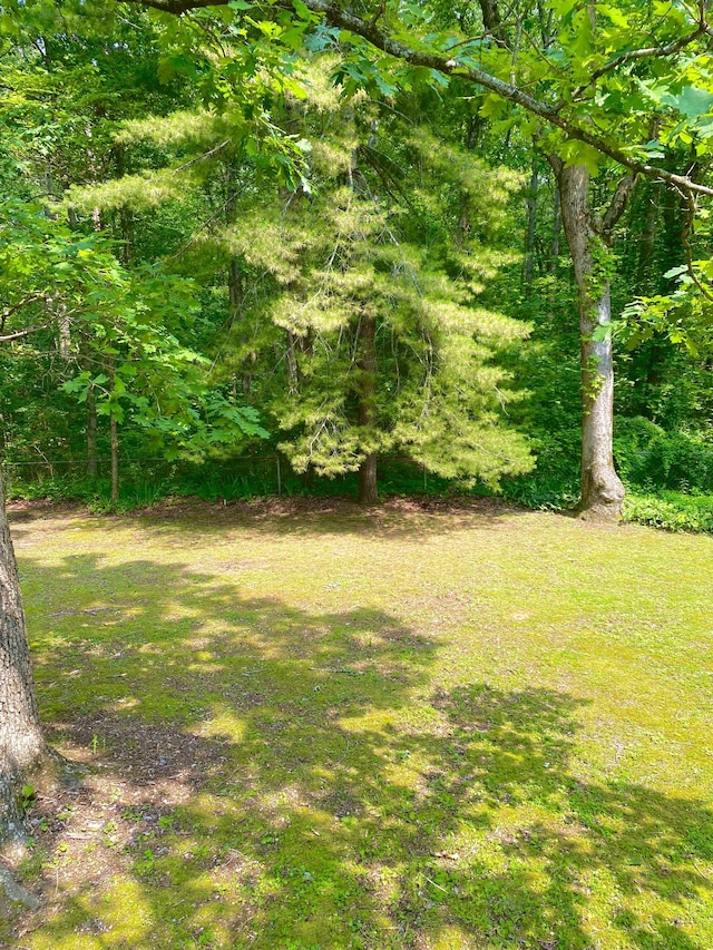 184 N Bluff Cir, Monteagle, TN 37356 - view of green lawn with a view of trees
