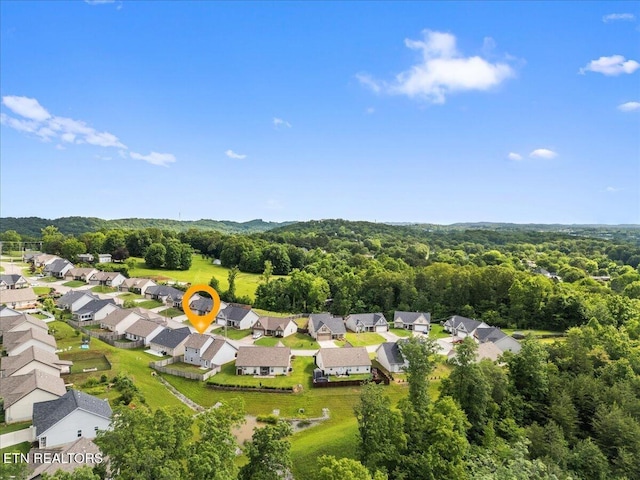 1125 Blackstone View Ln, Knoxville, TN 37932 - photo 37