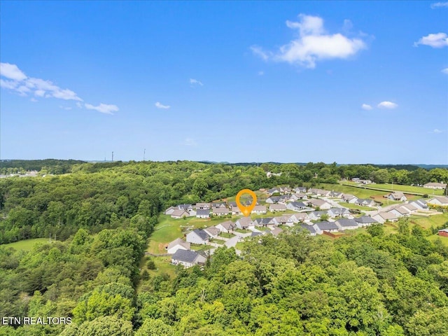 1125 Blackstone View Ln, Knoxville, TN 37932 - photo 41