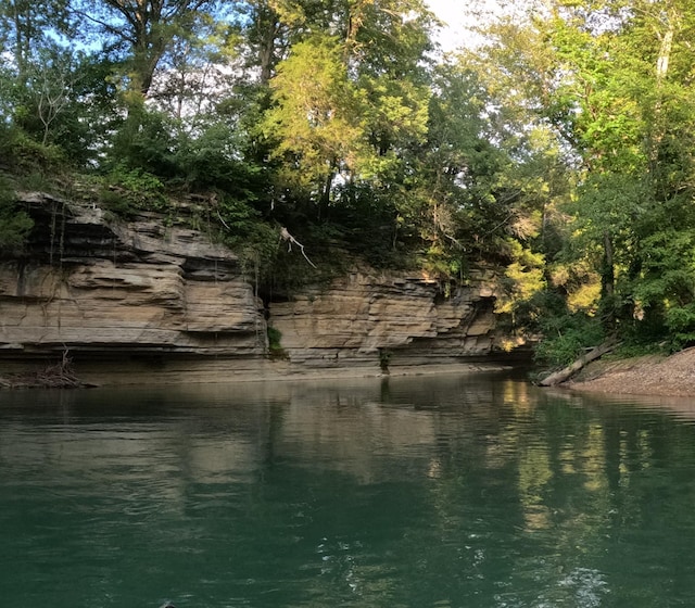8072 Old Hohenwald Rd, Linden, TN 37096