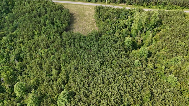 8072 Old Hohenwald Rd, Linden, TN 37096