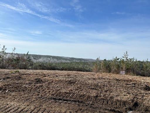8072 Old Hohenwald Rd, Linden, TN 37096